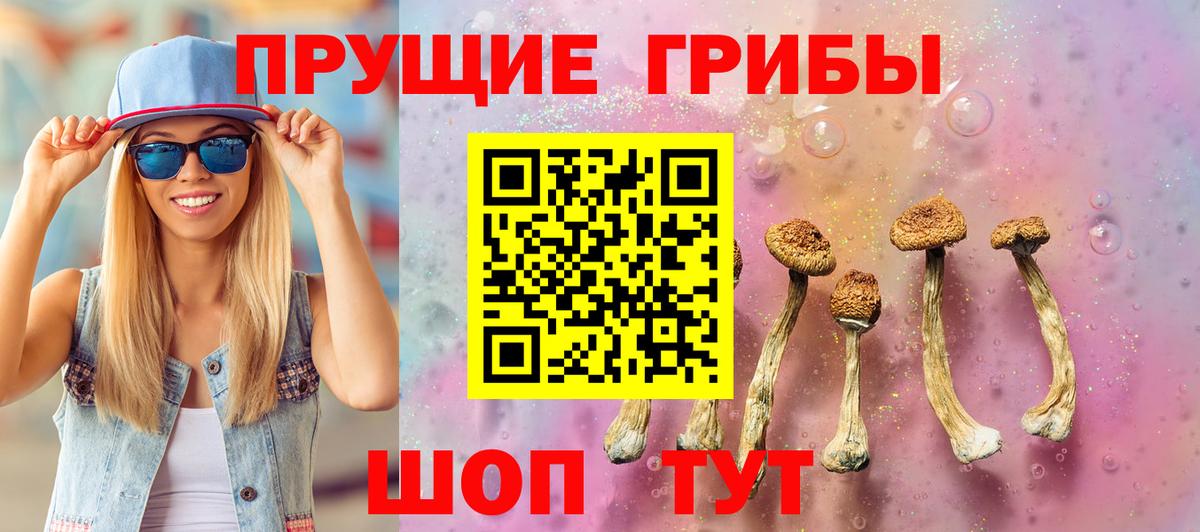 Галлюциногенные грибы GOLDEN TEACHER Балтийск