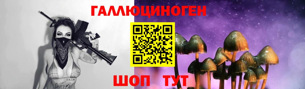 Псилоцибиновые грибы MAGIC MUSHROOMS  Вход с VPN  Балтийск 